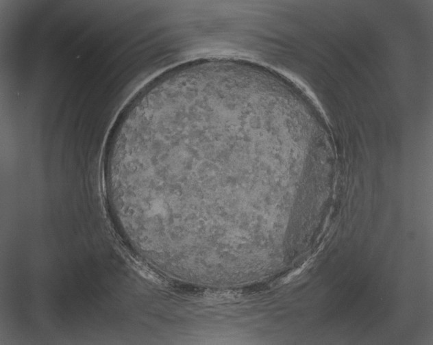 X0000082940887200702222244