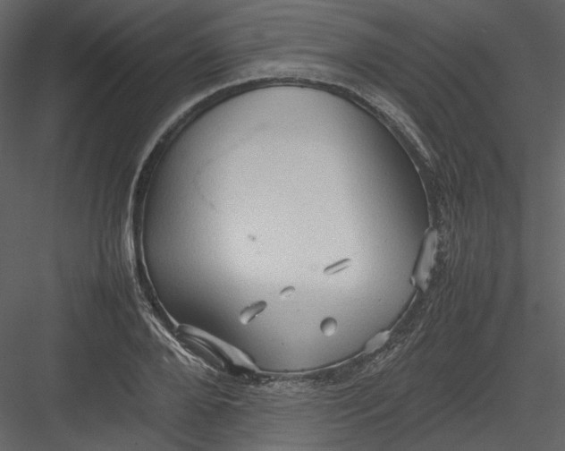 X0000082940888200702222244