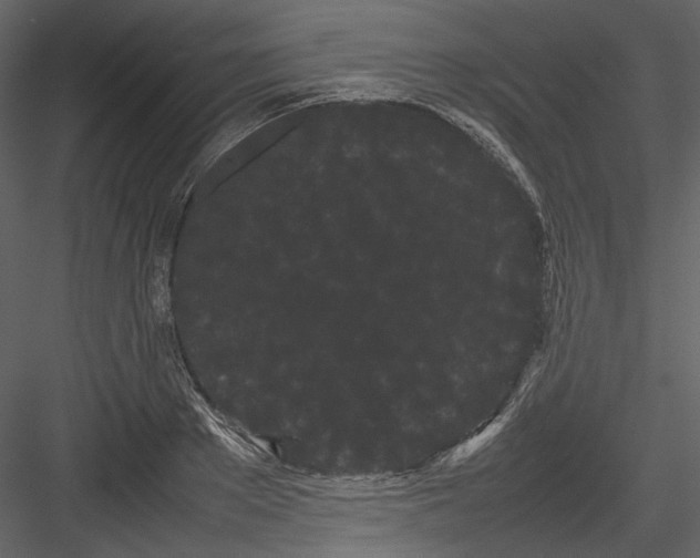 X0000082940889200702222244