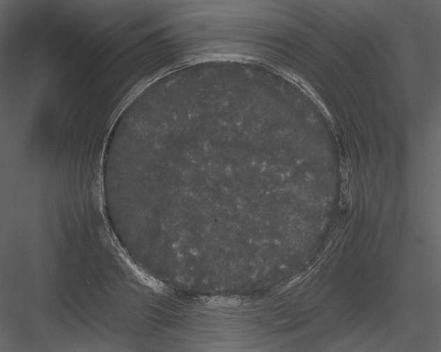 X0000082940890200702222244