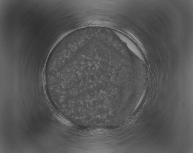 X0000082940891200702222244