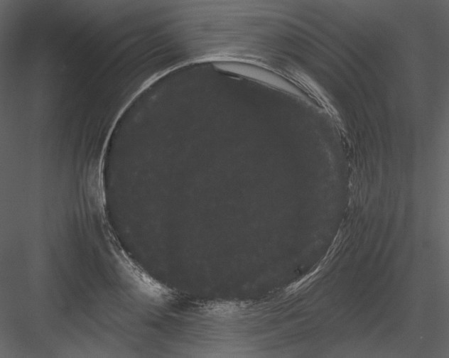 X0000082940892200702222244