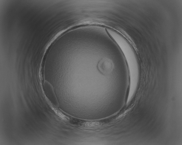 X0000082940893200702222244