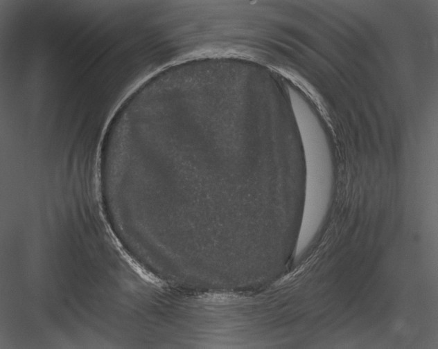 X0000082940894200702222244