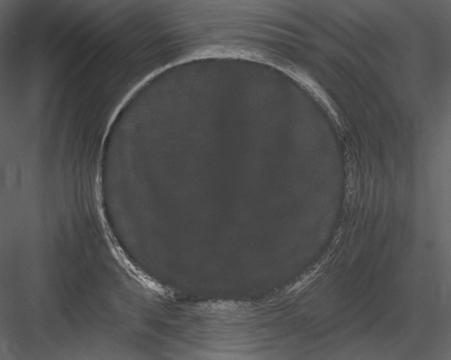 X0000082940896200702222244