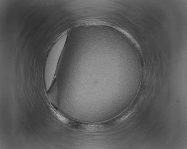 X0000082940897200702222243