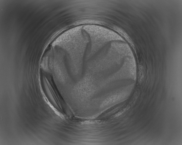 X0000082940898200702222243