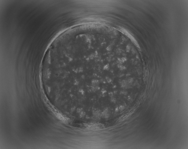 X0000082940899200702222243