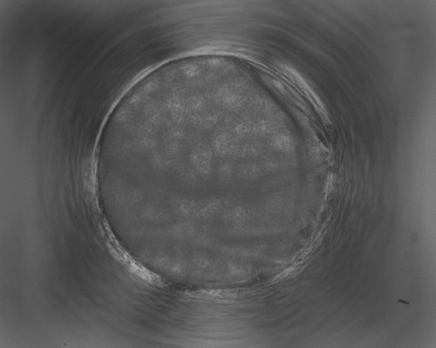 X0000082940900200702222243