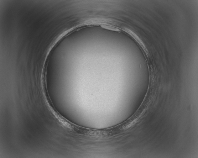 X0000082940901200702222243