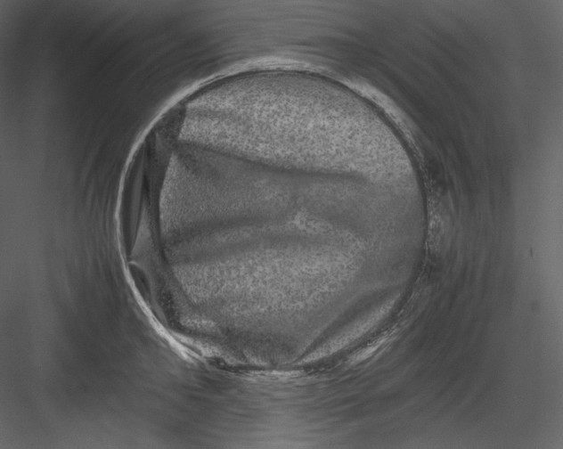 X0000082940902200702222243