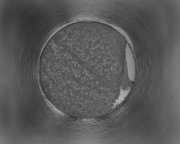 X0000082940903200702222243