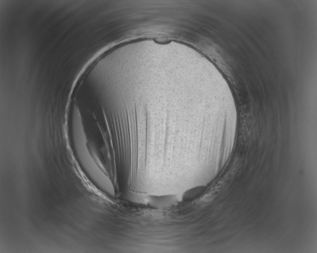 X0000082940904200702222243