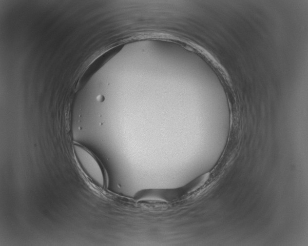 X0000082940905200702222243