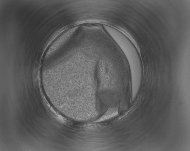 X0000082940906200702222243