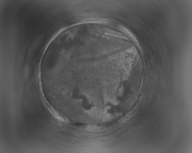 X0000082940907200702222243