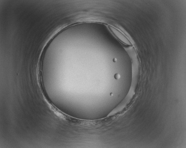 X0000082940909200702222243