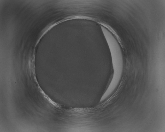 X0000082940910200702222243