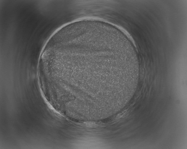 X0000082940911200702222243