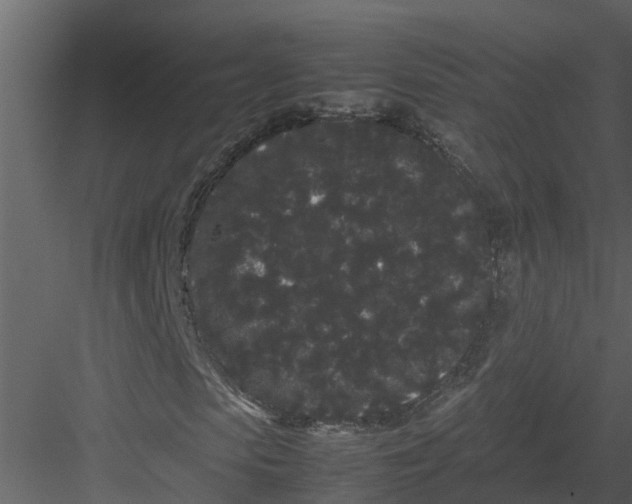 X0000082940913200702222242