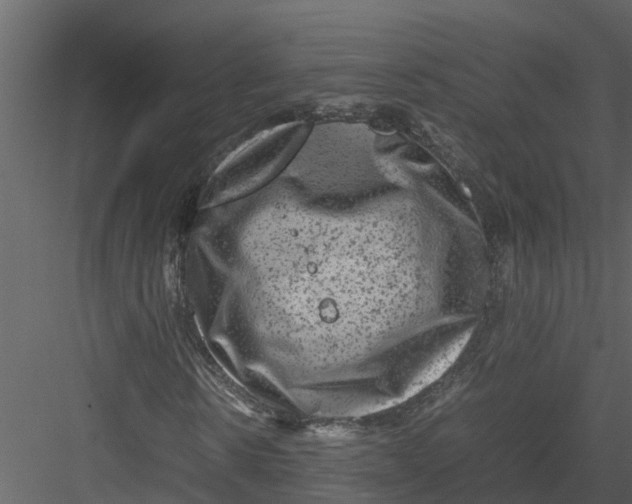 X0000082940914200702222242