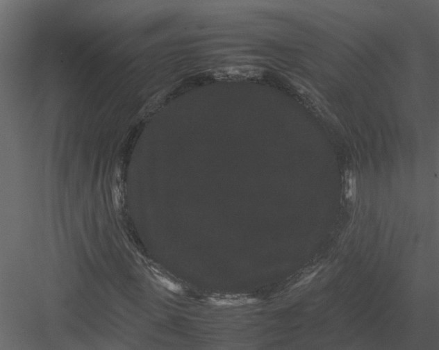 X0000082940915200702222242