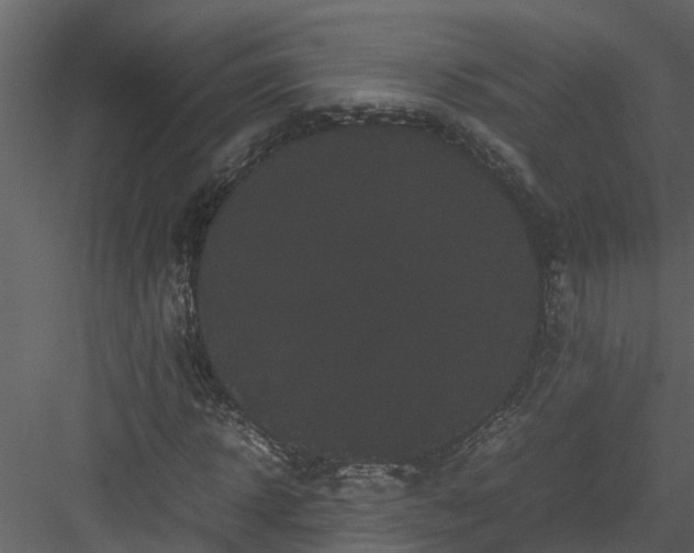 X0000082940918200702222242