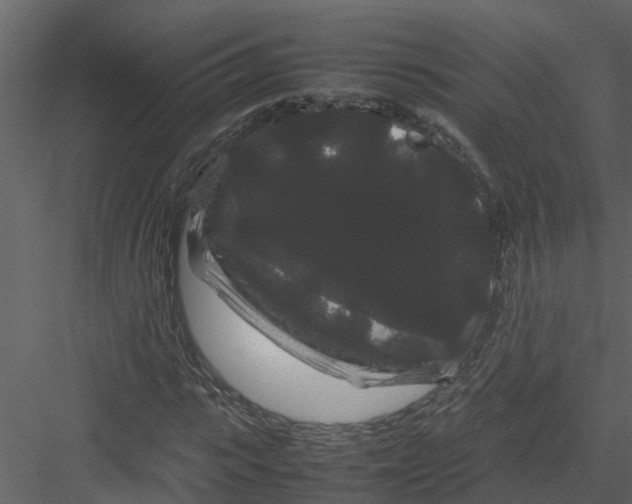 X0000082940919200702222243