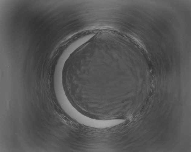 X0000082940920200702222243