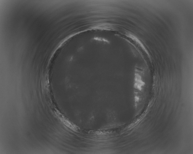 X0000082940923200702222243