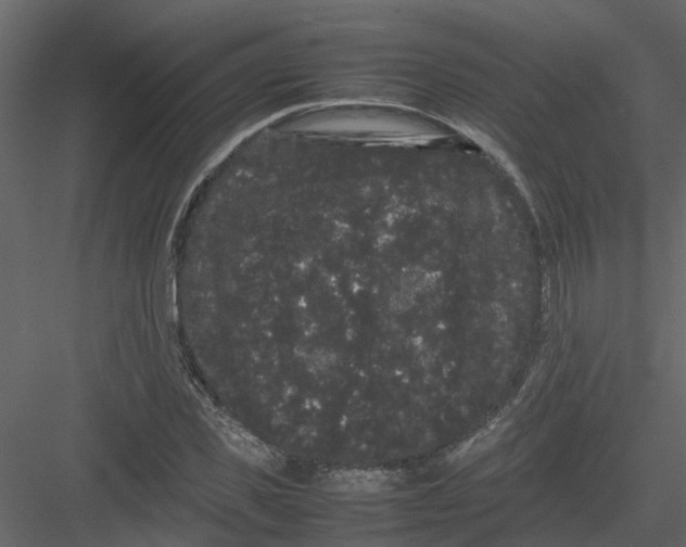 X0000082940925200702222243