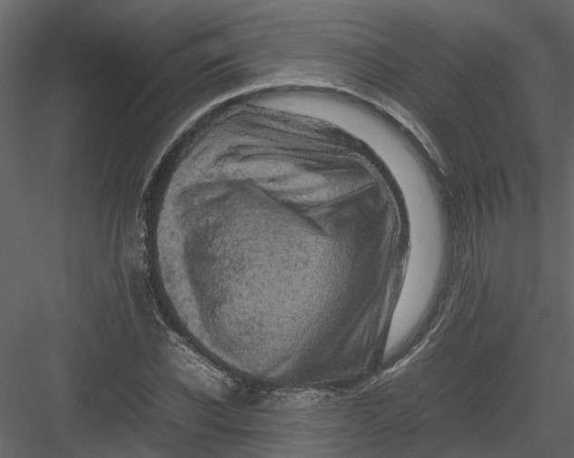 X0000082940926200702222243