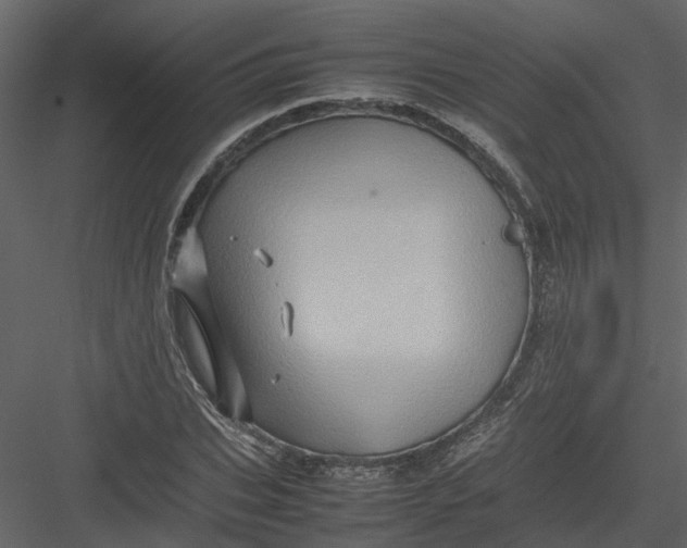 X0000082940927200702222243