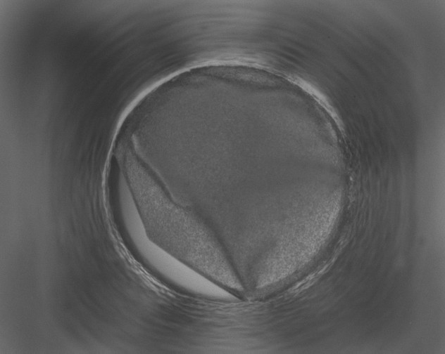 X0000082940928200702222243