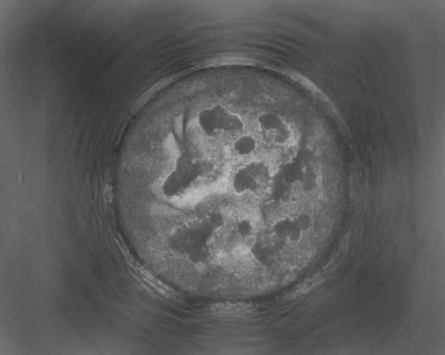 X0000082940929200702222243