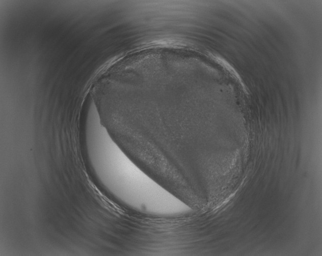 X0000082940930200702222243