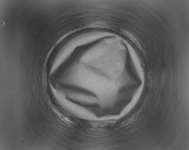 X0000082940931200702222243