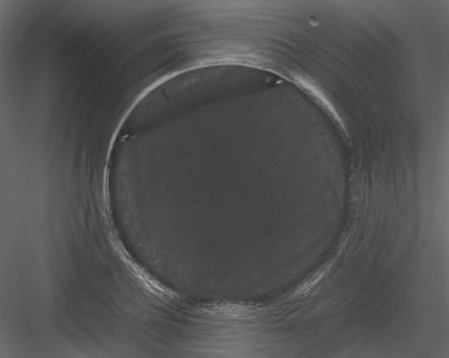 X0000082940932200702222243