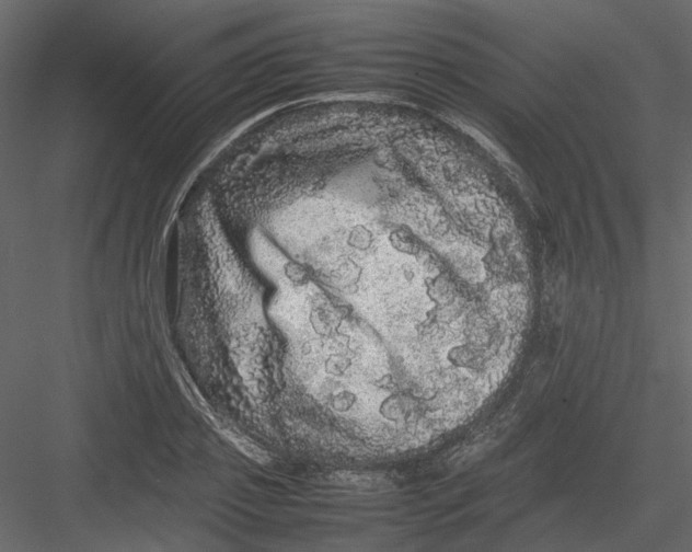 X0000082940933200702222243