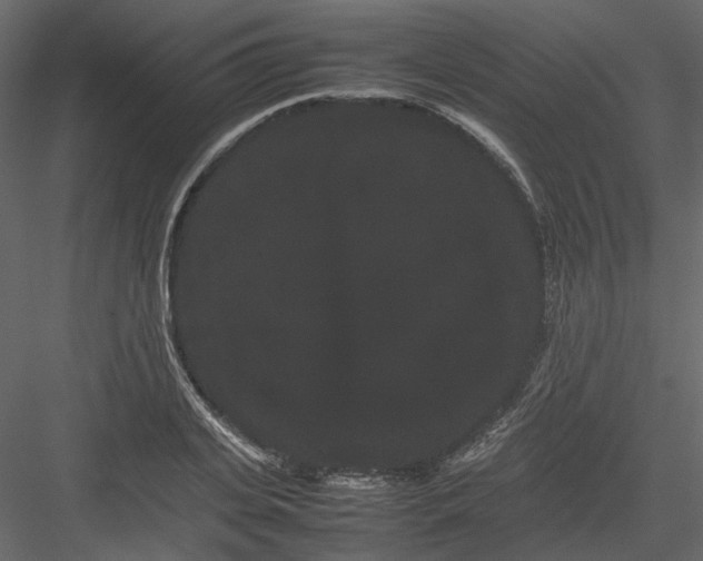 X0000082940935200702222243