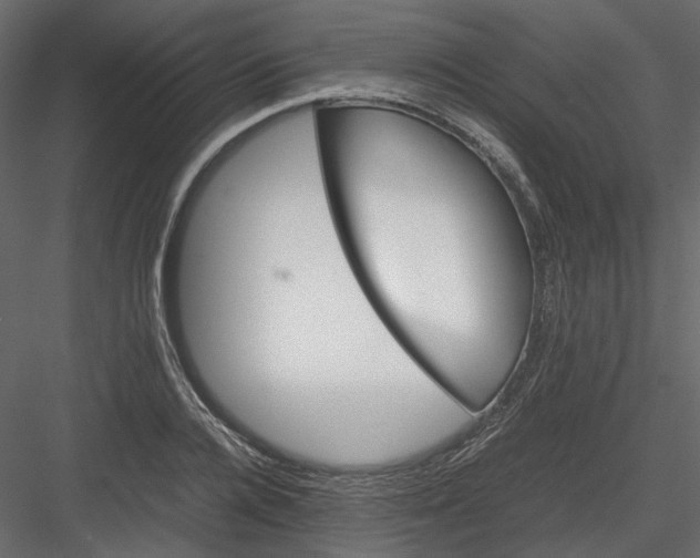 X0000082940936200702222243