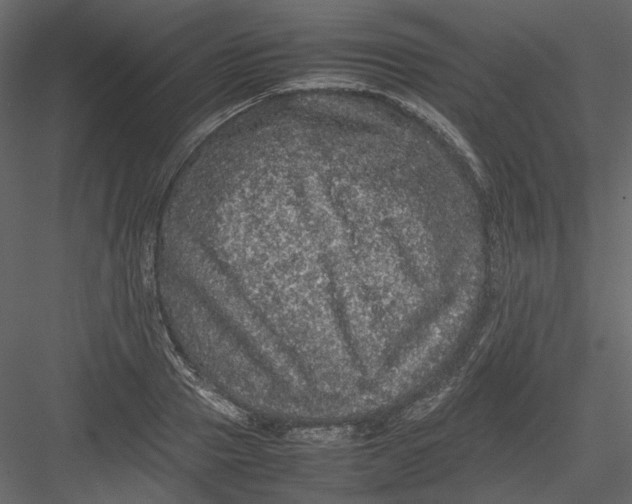 X0000082940937200702222243