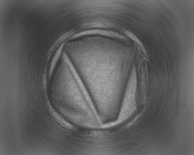 X0000082940938200702222243