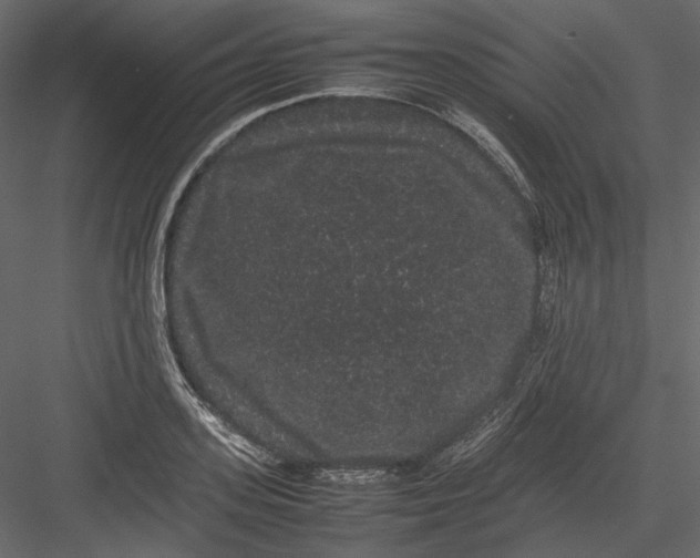 X0000082940939200702222243