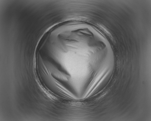 X0000082940940200702222243