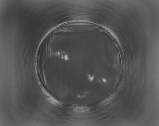 X0000082940941200702222243