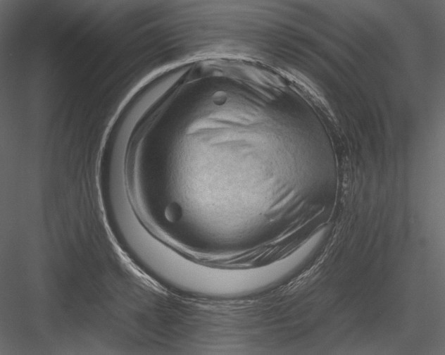 X0000082940942200702222243