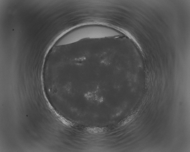 X0000082940943200702222243