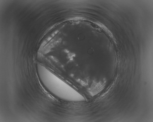 X0000082940945200702222243