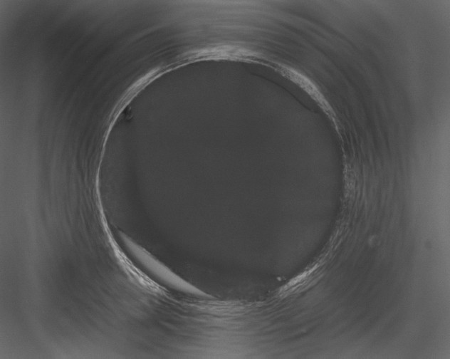 X0000082940946200702222243